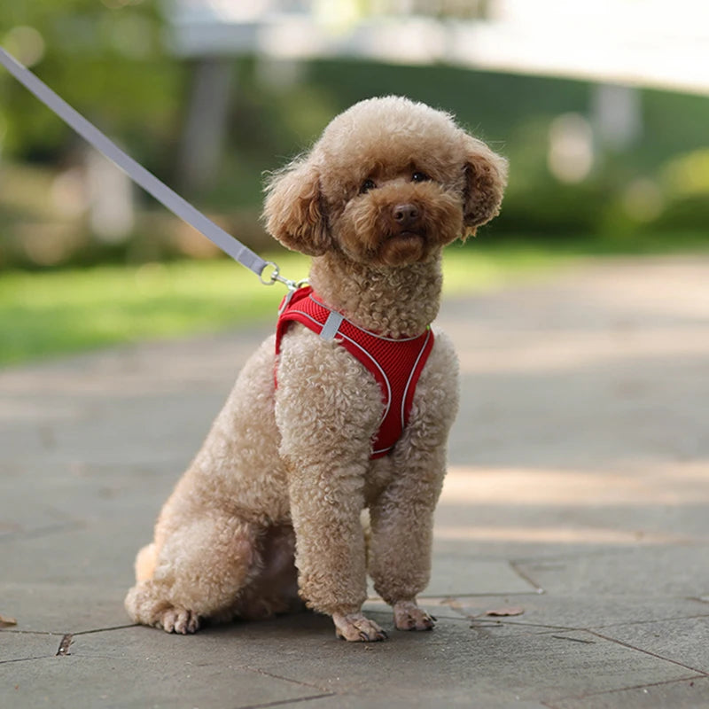 Dog Harness Leash Set for Small Dogs Adjustable Reflective Puppy Harness Vest for Walking