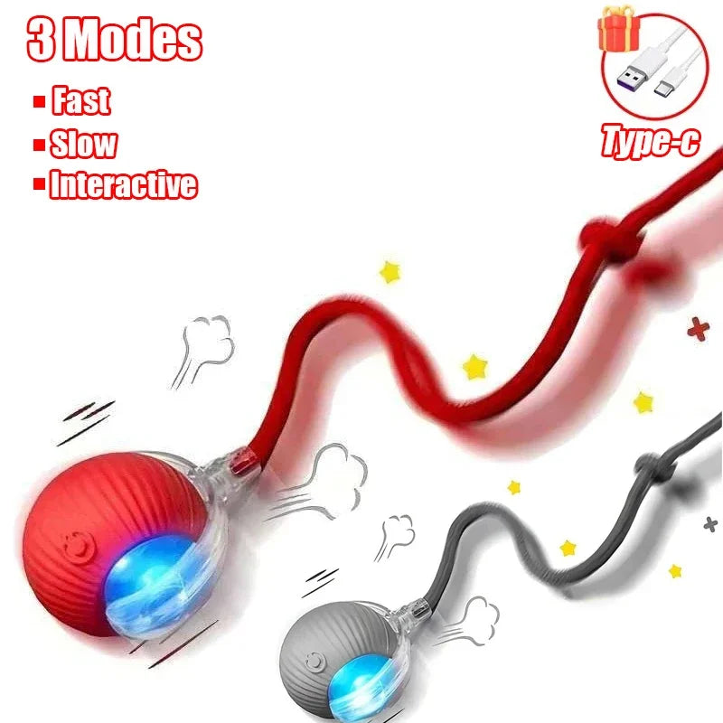Smart Interactive Cat Ball Toy with Automatic Rolling, Mouse Tail, Rechargeable Quiet Play for Cats