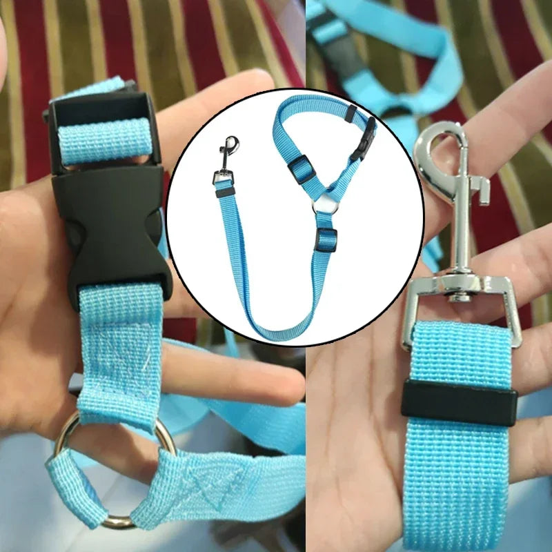 Adjustable Pet Car Seat Belt & Leash, Nylon Safety Harness for Dogs & Cats, Travel Seatbelt