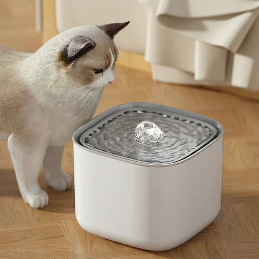 3L Cat Water Fountain Automatic Recirculating Filtered USB Electric Silent Pet Drinking Dispenser