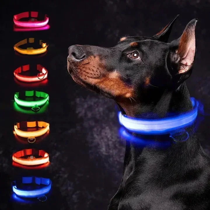 LED GLOWING DOG COLLAR Adjustable Rechargeable Flashing Luminous Night Safety Harness for Dogs