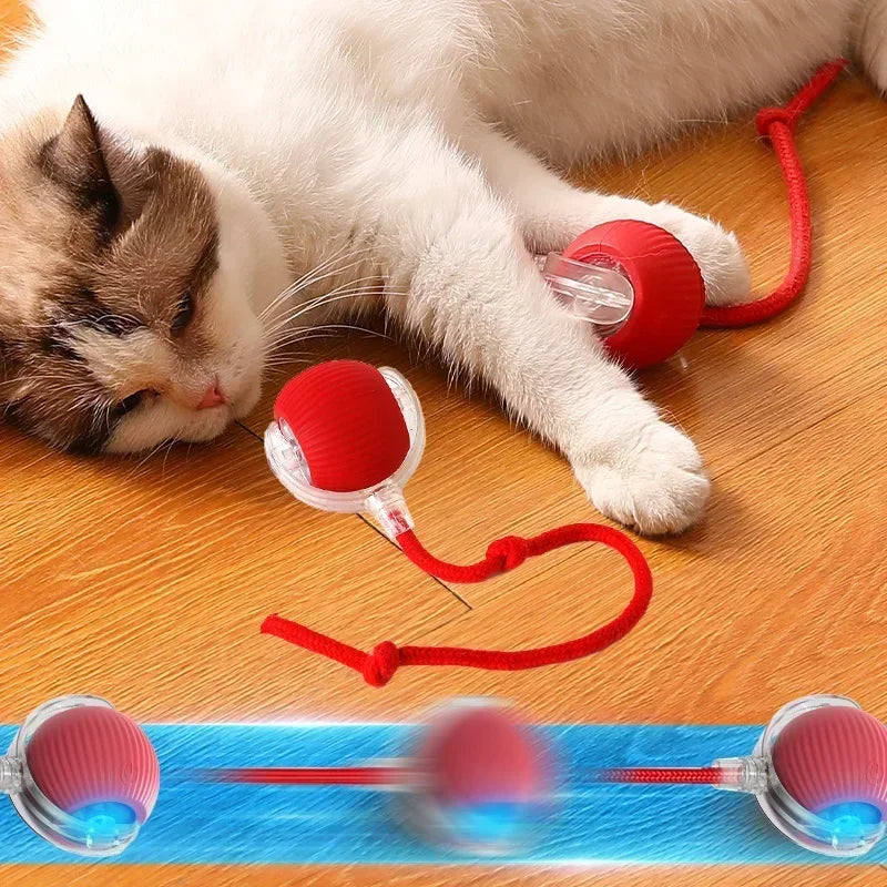 Smart Interactive Cat Ball Toy with Automatic Rolling, Mouse Tail, Rechargeable Quiet Play for Cats