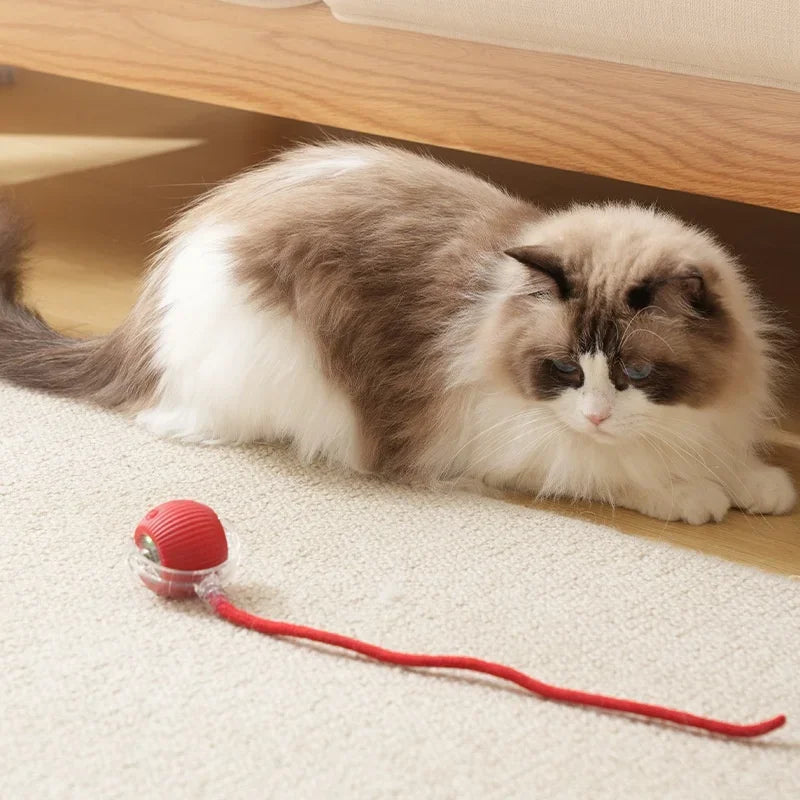 Smart Interactive Cat Ball Toy with Automatic Rolling, Mouse Tail, Rechargeable Quiet Play for Cats