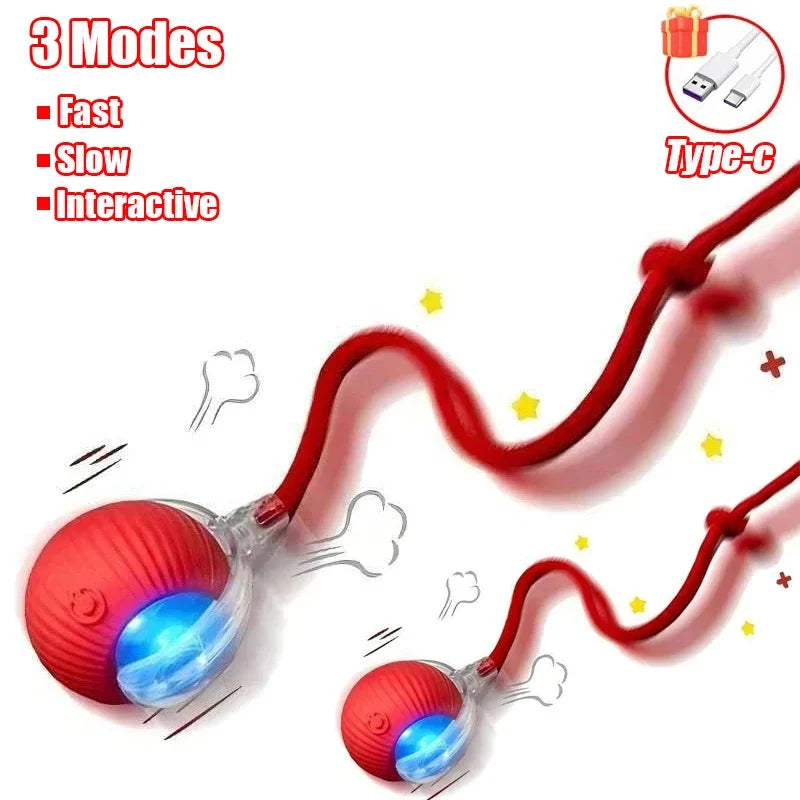 Smart Interactive Cat Ball Toy with Automatic Rolling, Mouse Tail, Rechargeable Quiet Play for Cats